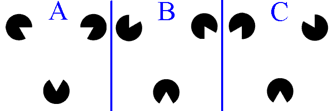 [�����̎ʐ^]