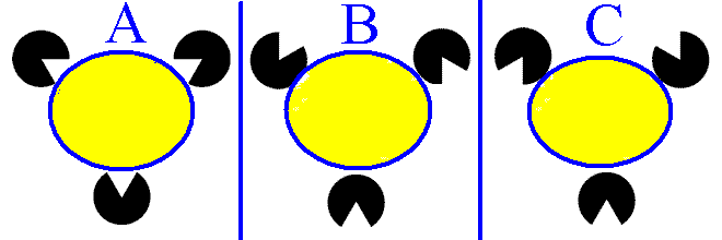 [�����̎ʐ^]