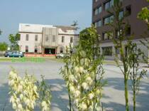 [�����̎ʐ^]